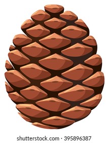 Close Up Of Pine Cone Illustration