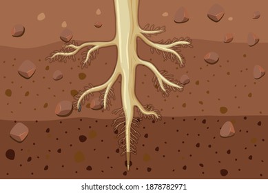 Close up of plant roots in soil illustration