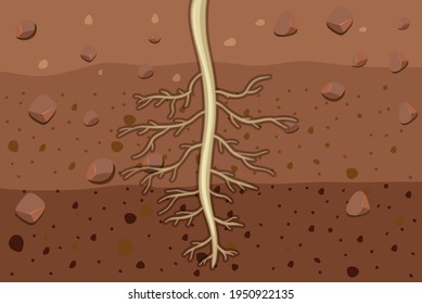 Close up of plant roots in soil illustration