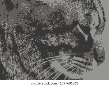 Close up portrait of cat in nature