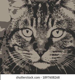 Retrato de cerca de gato en la naturaleza
