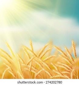 Close up of ripe wheat ears against sky. EPS 10 vector file included