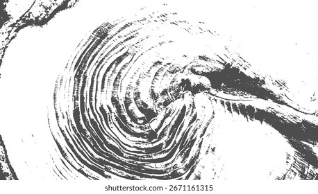 Close up of a rough wood grain texture with visible circular growth rings and organic imperfections