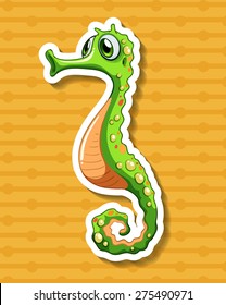 Close up seahorse with orange background