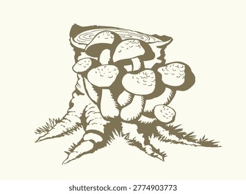 Close up season park flora view fresh Raw ripe scaly bolet cepe stem parasol hat danger Black line hand drawn eco bio old stump log bark grass eat toxic cep vegan meal logo retro age doodle outlin art