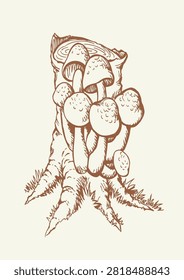 Close up season park flora view fresh Raw ripe scaly bolet cepe stem parasol hat danger Black line hand drawn eco bio old stump log bark grass eat toxic cep vegan meal logo retro age doodle outlin art