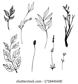 A close up Set of contour cute flowers and twigs in doodle style without shading and black strokes. Coloring book antistress. Isolated on white background. Stock vector illustration. eps 10