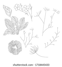 A close up Set of contour cute flowers and twigs in doodle style without shading and black strokes. Coloring book antistress. Isolated on white background. Stock vector illustration. eps 10