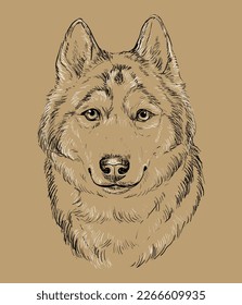 Close up Siberian Husky hand drawing monochrome vector isolated illustration on brown background. Cute realistic funny dog. For print, design, T-shirt, sublimation, decor, coloring, card