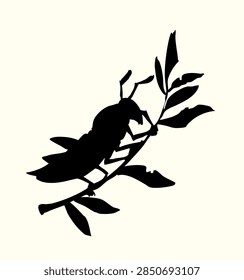 Close up side view simple big grig pet shape biter specie swarm leg wing fly green tree branch harm lawn crop food white sky text space. Dark black ink pen hand drawn old retro little botany plague zoo bible story logo emblem pencil engrave art style
