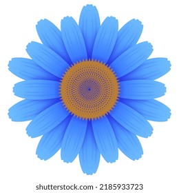 A close up of a single blue daisy