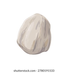 Close up of a single garlic bulb with papery skin