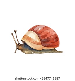 Close up of snail with shell