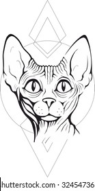 Close up of sphynx cat. Vector illustration. Tattoo style.Pet Shop label, signboard for your business. 