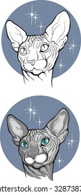 Close up of sphynx cat. Vector illustration. Tattoo style.Pet Shop label, signboard for your business.