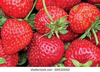 Close up strawberries on market stall