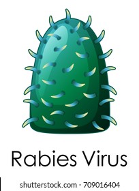 Close structure of rabies virus illustration