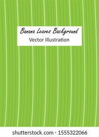 Close up surface of green banana leaves template background. Free copy space. Vector Illustration.