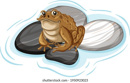 Close up of a toad on stones leaf isolated illustration