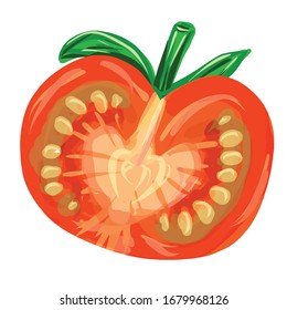 Close up tomato slice in realistic style isolated on white. Vector illustration for designing menu, posters, print, textile, recipe. Element of salat. Ecologycal agricultural product for vegetarian