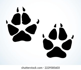 Close up top detail macro view flat feline lion kitty stamp element set white paper mud text space backdrop. Black line hand drawn hunt zoo vet bear pictogram sketch retro web art doodle contour style