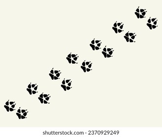 Close up top detail macro view flat feline lion kitty stamp element set white paper mud text space backdrop. Black line hand drawn hunt zoo vet bear pictogram sketch retro web art doodle contour style