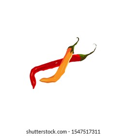 Close up top view of red and yellow peppers on a white background, raw food ingredient concept chili pepper, vegetarianism. Isolated over white background.