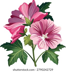 Close up of two blooming pink hibiscus flowers with lush foliage, exotic floral art for summer designs, hand drawn botanical element, nature graphics for patterns and textile.