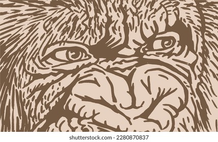 Close -up eyes of baboon, muzzle of monkey vintage illustration