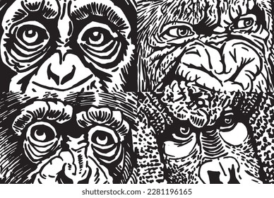 Close -up eyes of baboons, muzzles of monkeys abstract illustration