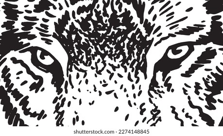 Close -up eyes of tiger, muzzle of angry tiger abstract illustration 