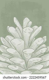 close up vector illustration of pinecone with grunge green background, perfect for framing as wall decoration