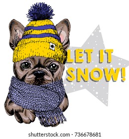 Close up vector portrait of French bulldog dog wearing beanie and scarf. Ski mode mood. Sketched colored illustration. Christmas, Xmas, New year. Party decoration, promotion, greeting card.