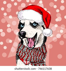 Close up vector portrait of Siberian husky dog wears Santa hat and scarf. Isolated on star and sparkle lights. Sketched color illustration. Christmas, Xmas, New year. Party decoration, greeting card.