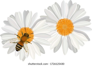 1,028,840 Pollen on flowers Images, Stock Photos & Vectors | Shutterstock