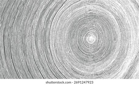 Vista de cerca de los anillos concéntricos grises y blancos que forman un patrón de textura orgánica abstracta.