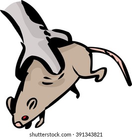 Close up view of helpless rat stuck in the talons of a bird