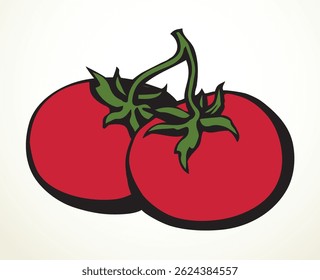 Close-up view cru grande maduro fresco suculento saboroso rosa solanum berry cluster. Fundo de espaço de texto de galho de caule de videira. Cor brilhante mão desenhada pequena dieta emblema retro arte doodle linha de contorno estilo de impressão