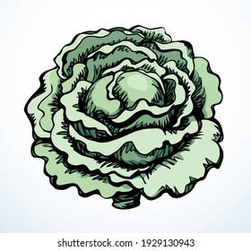 Close up view ripe raw fresh eco big collard kale flower diet health kitchen cook dinner light paper text space backdrop. Outline black hand drawn emblem logo design vintage art doodl line print style