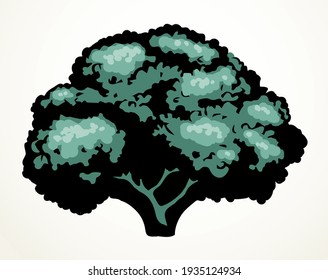 Blumenkohl. Vektorgrafik-Lebensmittelobjekt