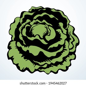 Close up view ripe raw fresh eco big collard kale flower diet health kitchen cook dinner light paper text space backdrop. Outline black hand drawn emblem logo design vintage art doodl line print style