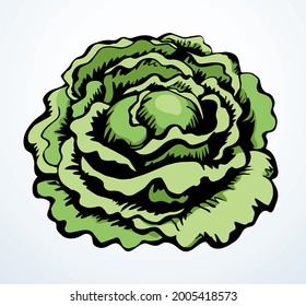Cerrar ver ecomio crudo fresco colard grande kale flor dieta cocina de salud cena liviana de papel de fondo de texto. Esquema emblema dibujado a mano negra diseño arte vintage estilo de impresión de línea de doodl