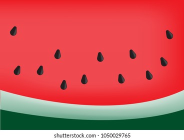 Close up Watermelon background tropical fruit in summer. Vector illustration EPS10.