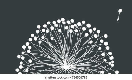close up white dandelion on dark background with one blowing. vector illustration.