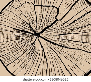 Close - up white stump pattern texture and background seamless