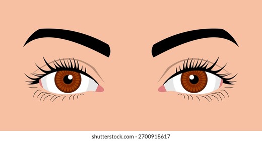 Cerca de los ojos de una mujer