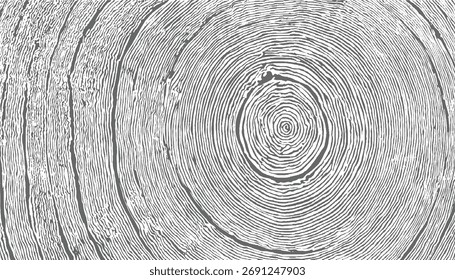 Close up of a wood grain pattern showing concentric rings and parallel lines in grayscale