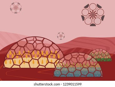 Closed ecological system. Concept of use. A self-sustainable biostation on another planet (Mars) with different plants: wheat, rice, algae
