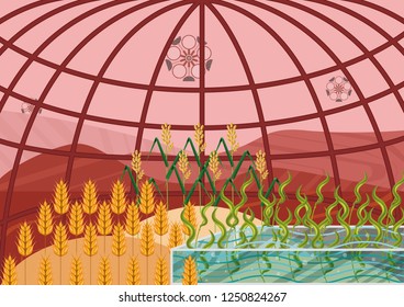 Closed ecological system. Concept of use. A self-sustainable bio station constructed on another planet (Mars) with different plants: wheat, rice and algae. View from inside of bio station