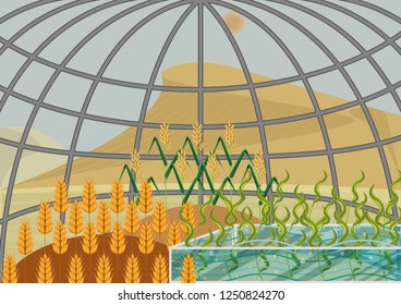 Closed ecological system. Concept of use. A self-sustainable bio station with different plants: wheat, rice, algae in extreme weather conditions of desert. View from inside of bio station